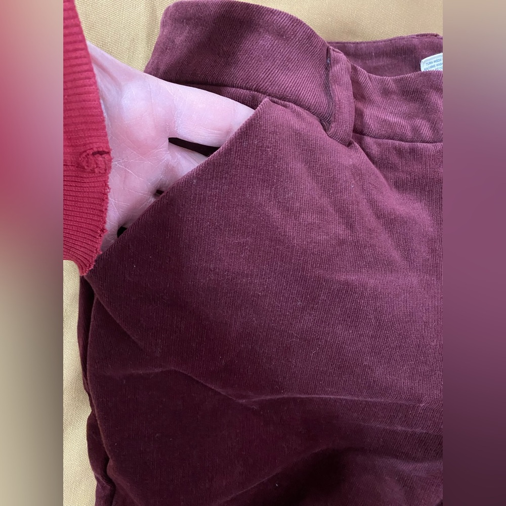 Duluth Trading Co Womens Corduroy High Rise Skinny Ankle Pants SZ 10 Regular - Picture 6 of 8